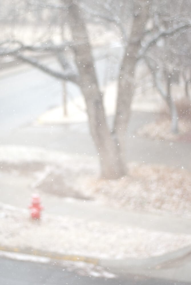 winter-scene snow from my living room window