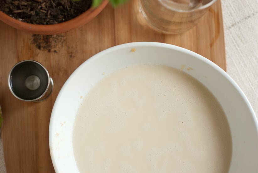 mint ice cream in the making mint ice cream in the making