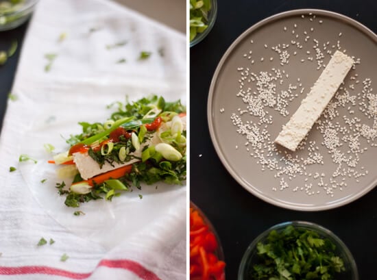 spring roll with sesame tofu spring roll with sesame tofu