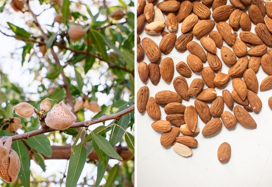 almonds