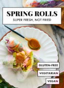 vegetarian/vegan spring rolls recipe