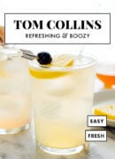 tom collins cocktail